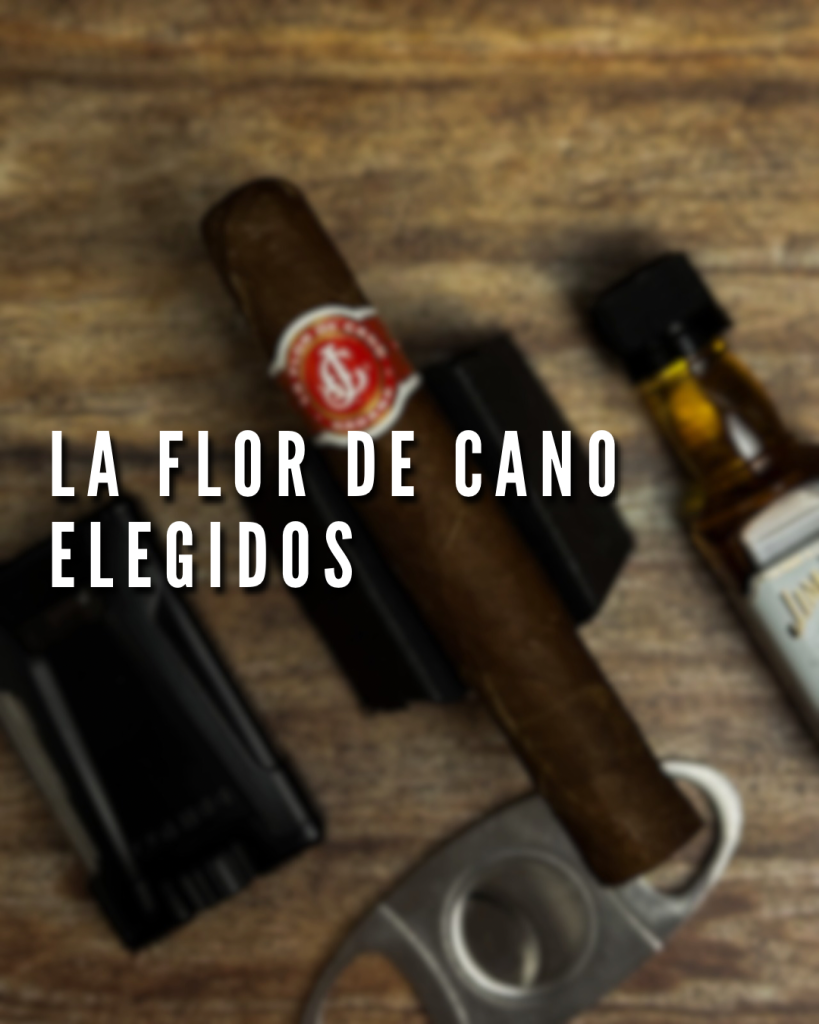 La Flor de Cano Elegidos Polski Aficionado